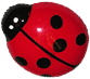 Ladybird